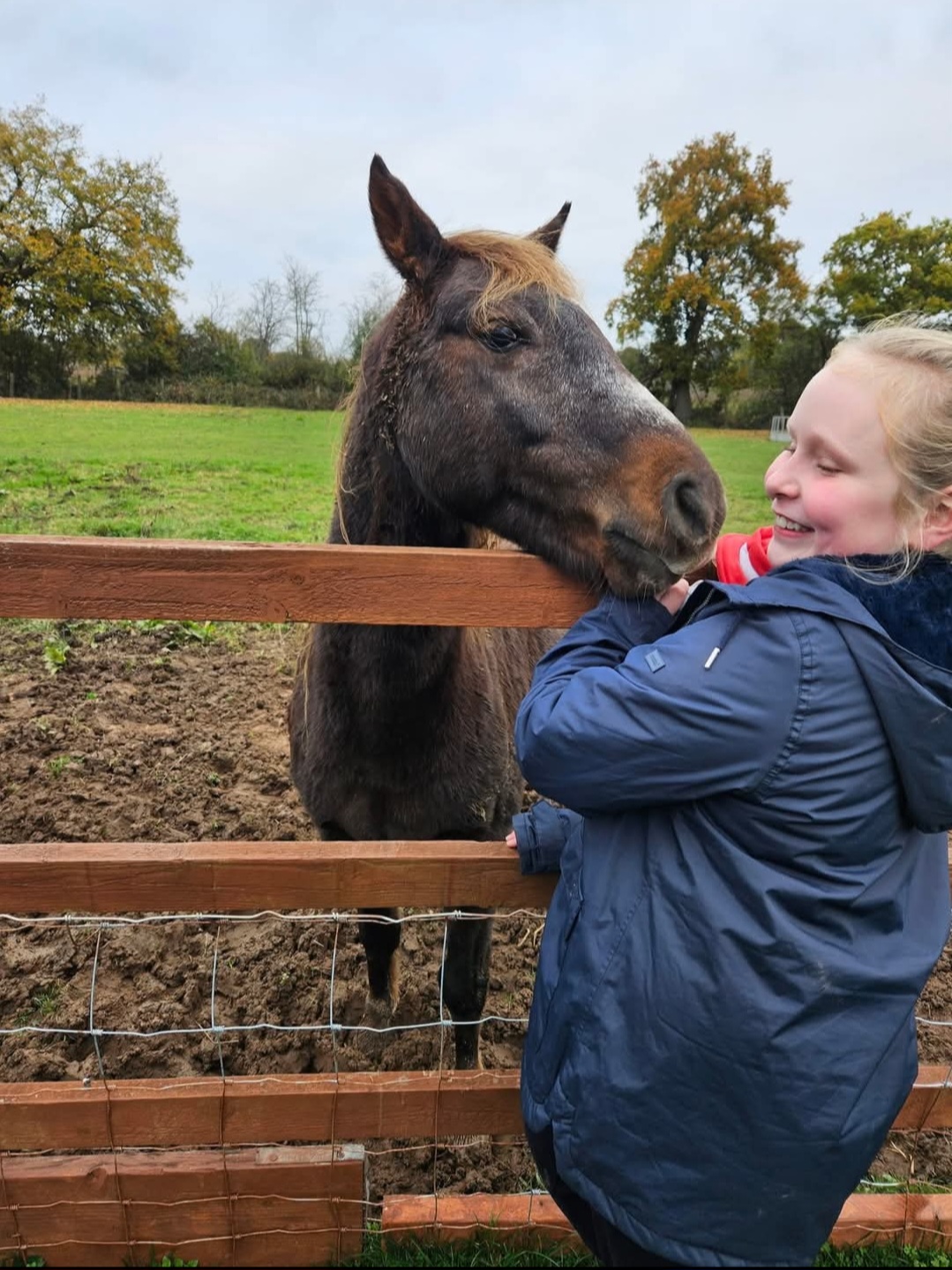 One of the horses at Spencer's Retreat Farm with our daughter who loves them