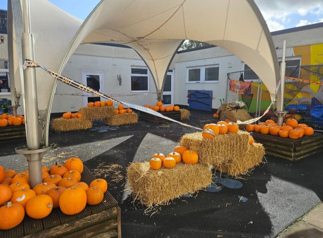 Our man made pumpkin patch