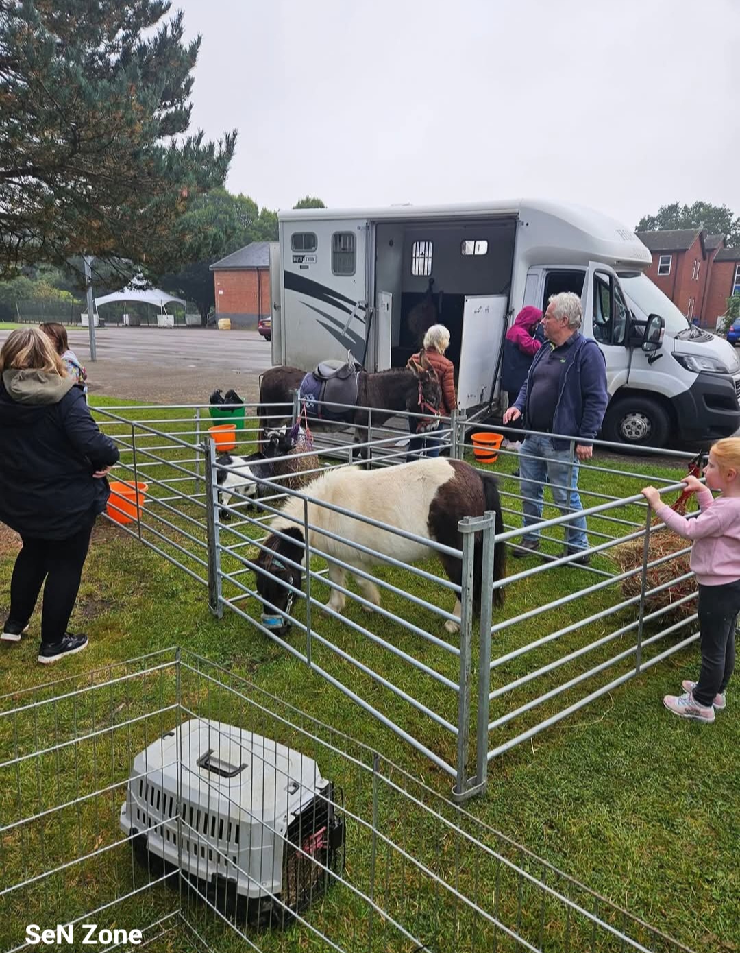 Mobile petting farm at The Hub in Henley
